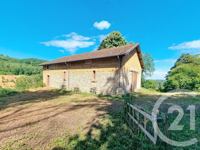 maison à vendre - 15 pièces - 457.53 m2 - EYZIN PINET - 38 - RHONE-ALPES - Century 21 Hestia Ldi