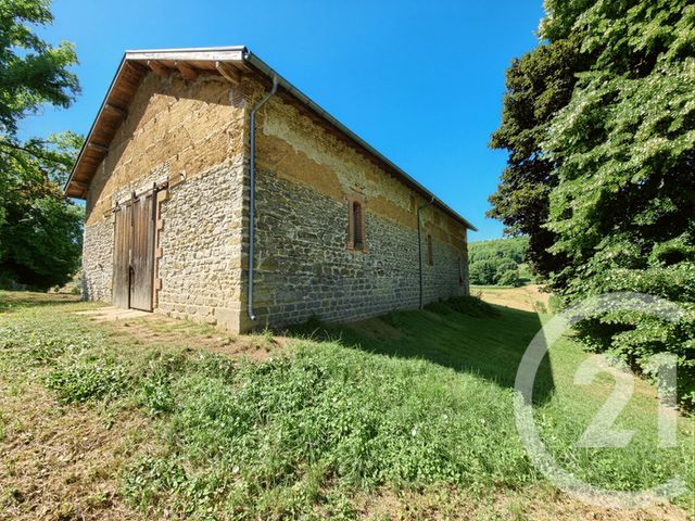 maison à vendre - 15 pièces - 457.53 m2 - EYZIN PINET - 38 - RHONE-ALPES - Century 21 Hestia Ldi