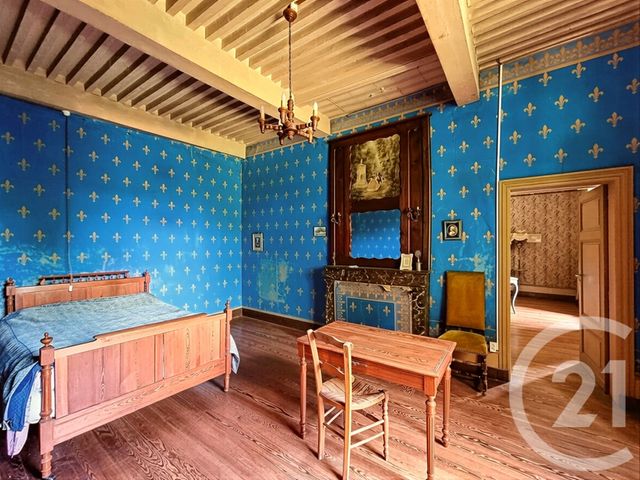 maison à vendre - 15 pièces - 457.53 m2 - EYZIN PINET - 38 - RHONE-ALPES - Century 21 Hestia Ldi